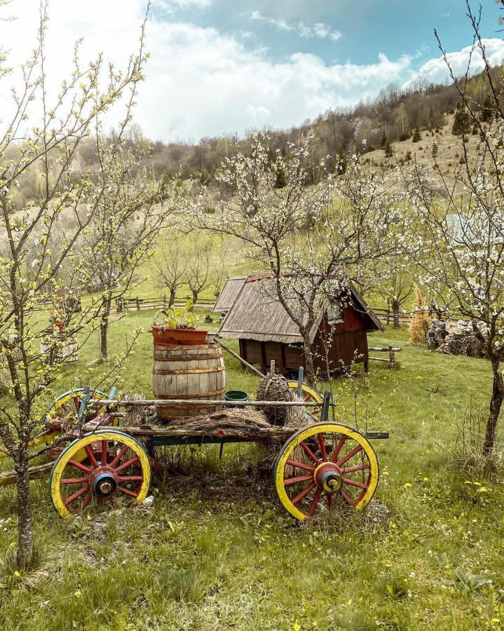 Log Cabin Uvac Nova Varoš Zimmer foto